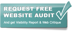 Free Audit